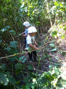 IMG-20140827-WA0002(1) 